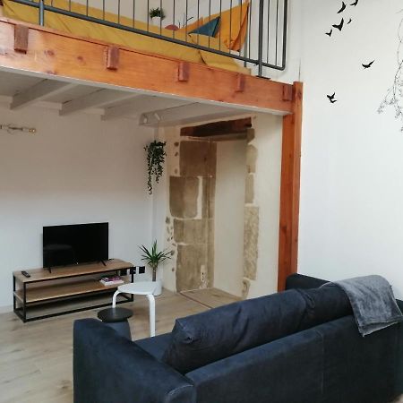 Le Studio D'Emma Apartment Romans-sur-Isere Exterior photo